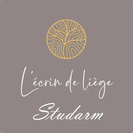 L'ecrin De Liege 3* Pessac